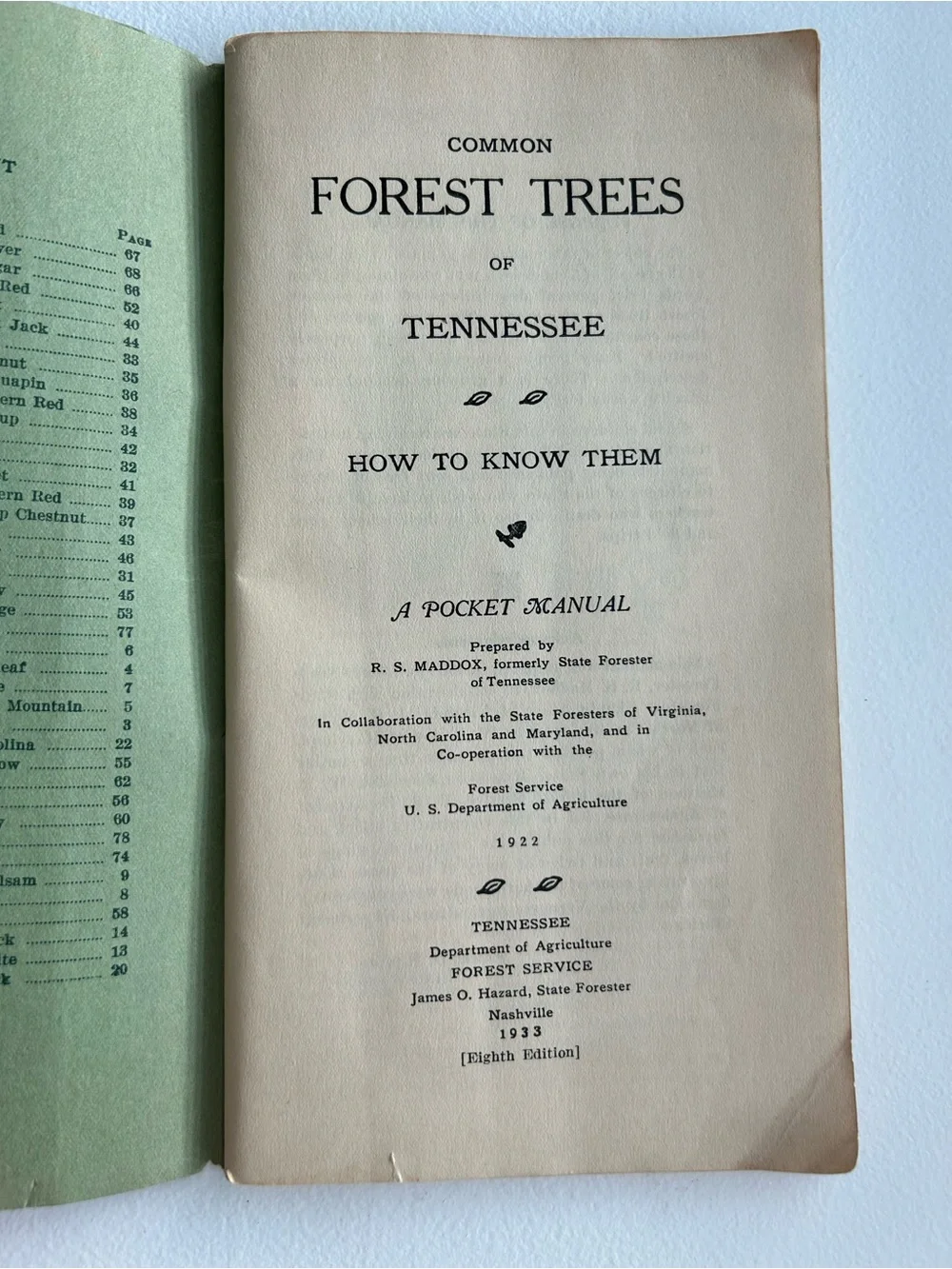 1933 Vintage Common Forest Trees of Tennessee Book 8th Ed Botany Forestry Guide
